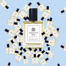 MIDNIGHT RIDE - BLUE HILL FRAGRANCES 30 ML (UNISEX)